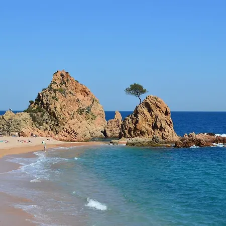 Soleil Playa 2